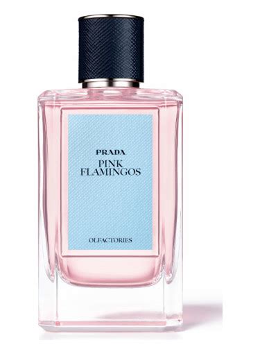 prada perfume pink box|prada pink flamingos.